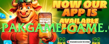 s9game Flash v4.2.1 Screenshot 4